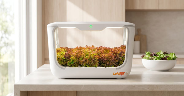 Hydroponic System Comparison: LaNiTex Range vs Use Cases (2026 Australian Buyer's Guide)
