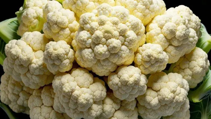 Cauliflower - LaNiTex Hydro Garden