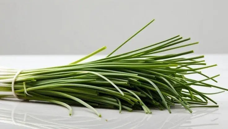 Chives (Allium schoenoprasum) - LaNiTex Hydro Garden