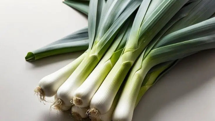 Hydroponic Cultivation of Leeks (Allium porrum) - LaNiTex Hydro Garden