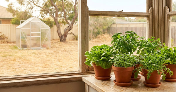Year-Round Greenhouse Alternatives in Australia: 2026 Buyer's Guide