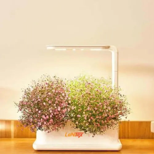 Hydroponic Desktop Grow Box - LaNiTex Hydro Garden