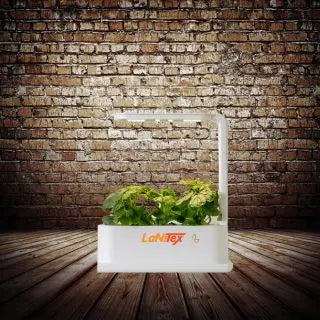 Leafy greens growing soil-free in a LaNiTex indoor herb garden