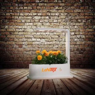 Bright marigold flowers blooming in a compact hydroponic system by LaNitex, set against a rustic brick wall.