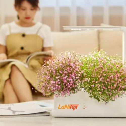 Pink flowers in a LaNiTex indoor herb garden grow box in a living room — home hydroponics