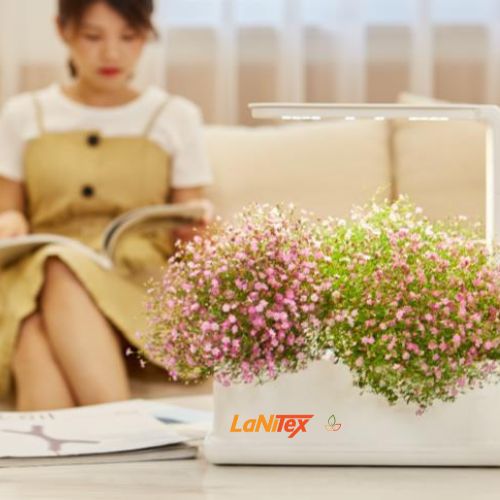-  A hydroponic growing system using LED lighting to support pink flowering plants indoors.
- Conversational & Engaging: No soil, no problem! These pink flowers flourish effortlessly in a hydroponic desktop garden.
Let me know if you'd like any adjustments!