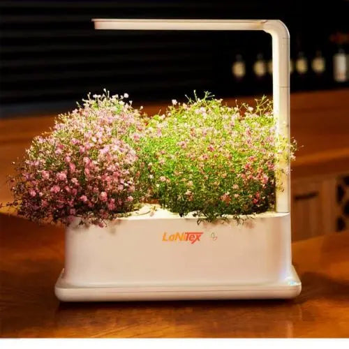 Hydroponic Desktop Grow Box - LaNiTex Hydro Garden