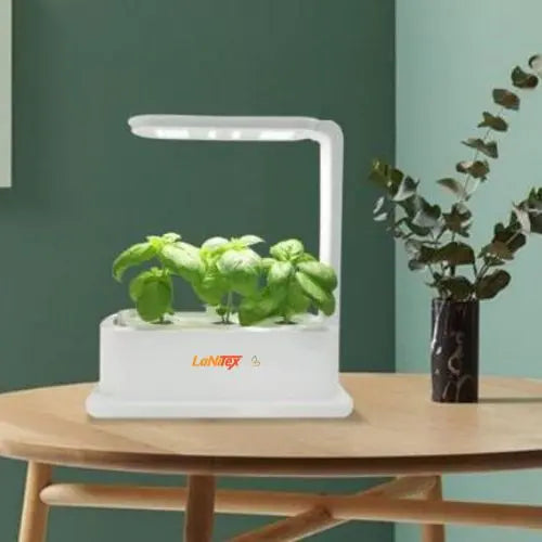 Hydroponic Desktop Grow Box - LaNiTex Hydro Garden