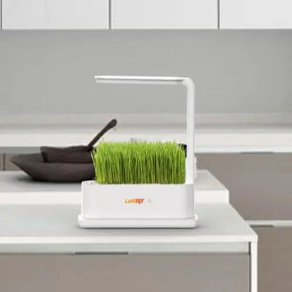 Hydroponic Desktop Grow Box - LaNiTex Hydro Garden