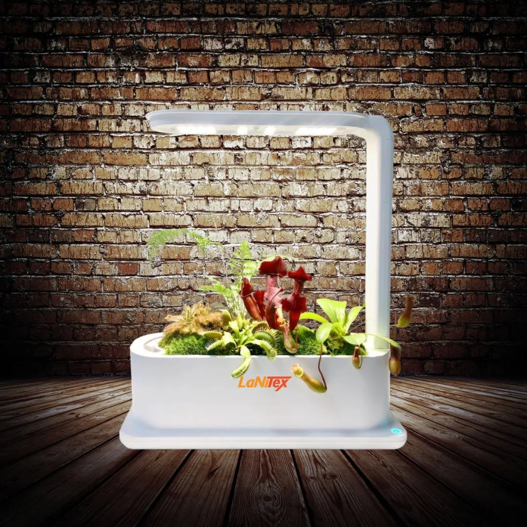 LaNiTex desktop hydroponic grow box growing carnivorous plants under its full-spectrum LED grow light