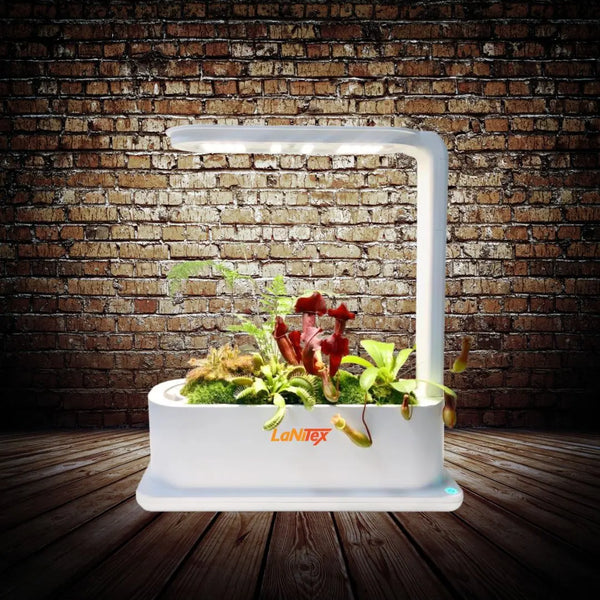 Indoor Herb Garden Hydroponic Kit – 3-Pod Grow Box with Desk Lamp Style Grow Light