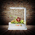 Small but mighty, this hydroponic system brings life to any desk, with vibrant greens flourishing in water and light.