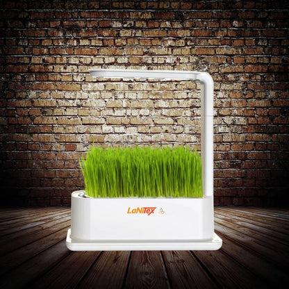 Desktop hydroponic system with fresh greens thriving in nutrient-rich water under controlled lighting.