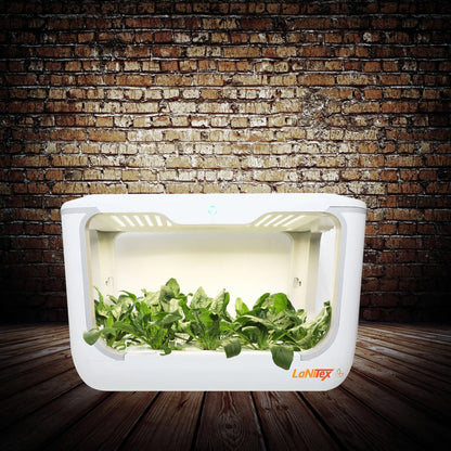 Multi-hole hydroponic system efficiently growing plants indoors without soil.
