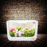 A white hydroponic grow box using advanced technology to enhance indoor gardening.