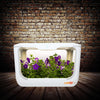 Smart hydroponic grow box maintaining proper hydration and lighting for plants.