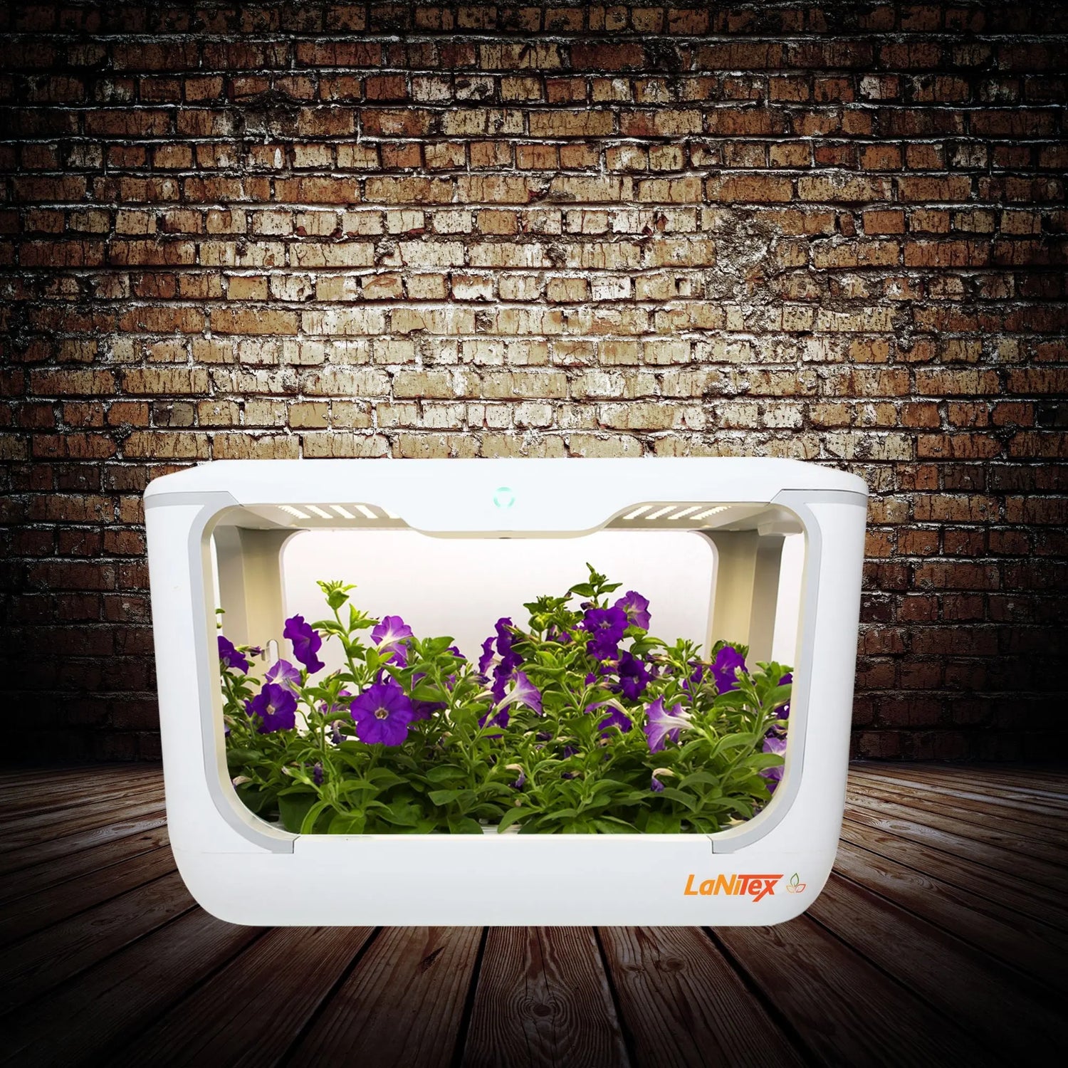 Smart hydroponic grow box maintaining proper hydration and lighting for plants.