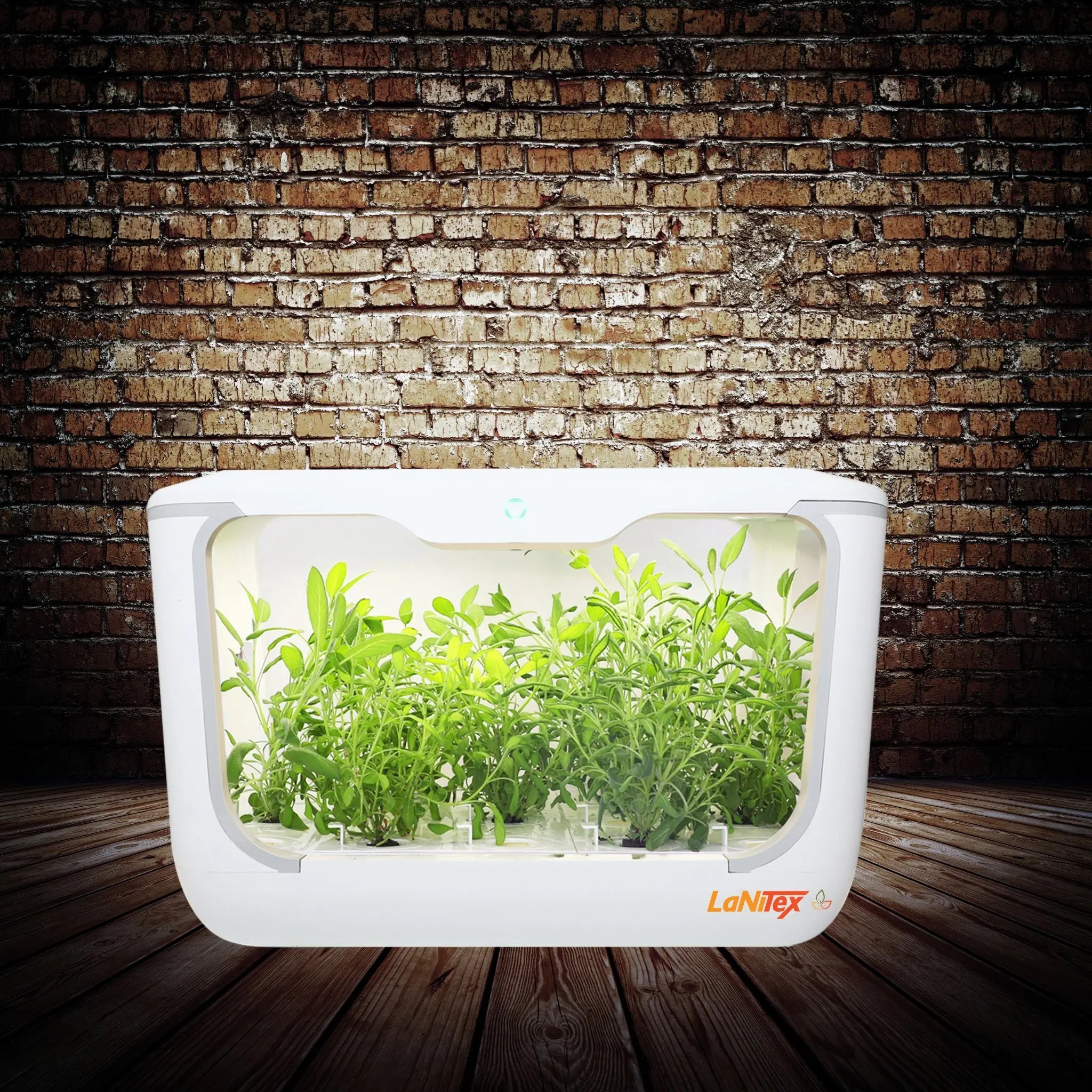 White hydroponic grow box providing a sustainable solution for soil-free gardening.