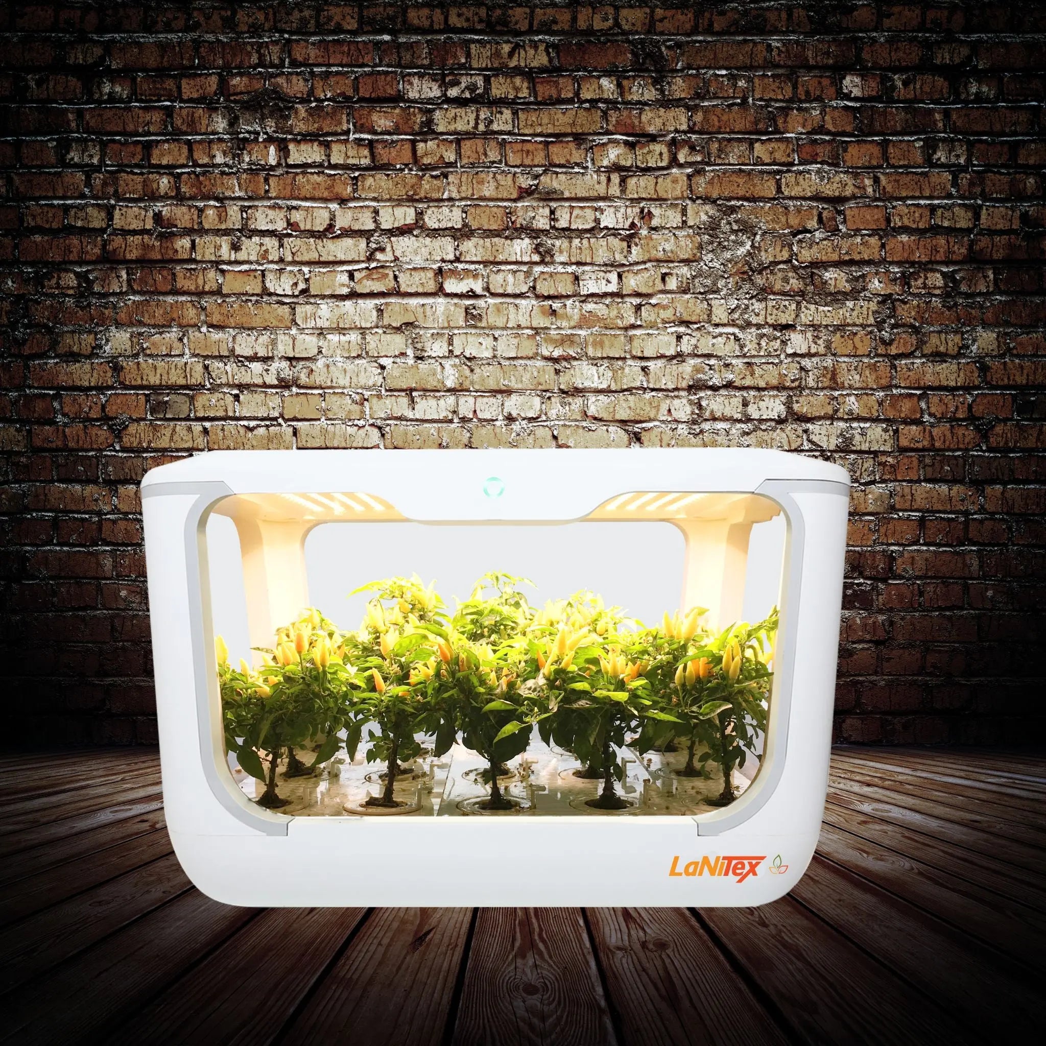 Smart herb garden kit with neatly arranged planting baskets and vibrant greens