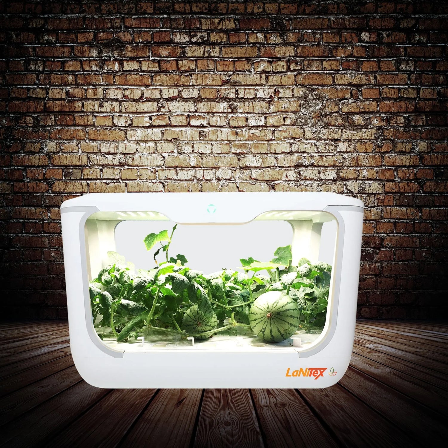 A controlled hydroponic system with 15 slots for efficient vegetable cultivation.