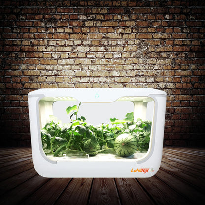 A controlled hydroponic system with 15 slots for efficient vegetable cultivation.