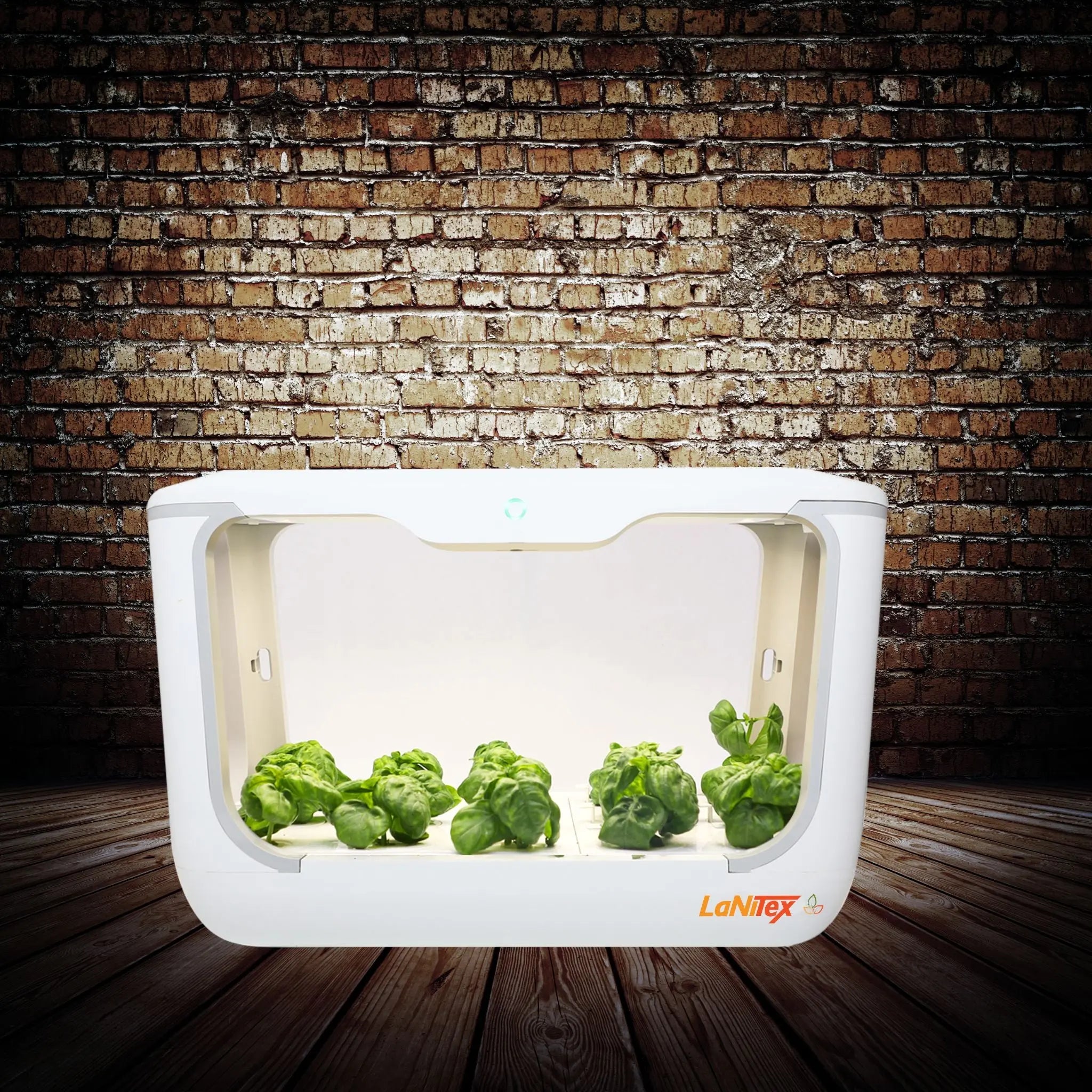 Compact hydroponic system with 15 planting slots, supporting efficient vegetable growth.