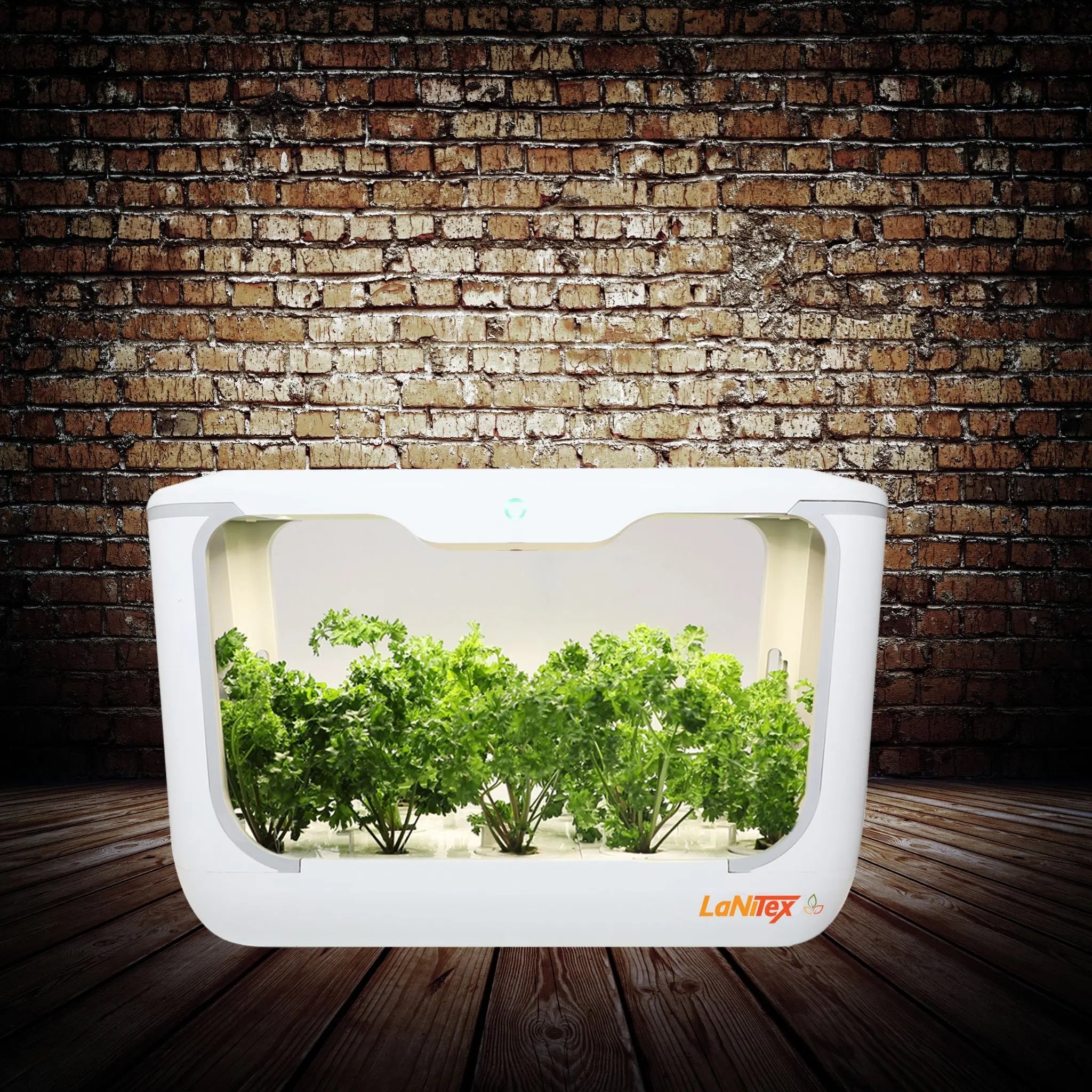 Indoor grow box with lights running its automated growing cycle
