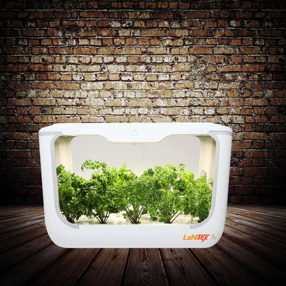 Innovative hydroponic system designed for clean, effortless indoor plant growth.