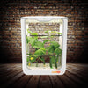 Tall indoor hydroponic system with multiple tiers growing cucumber under LED lighting in a controlled environment.