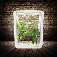 LaNiTex Smart Grow Box Tall version hydroponic system for taller herb plants