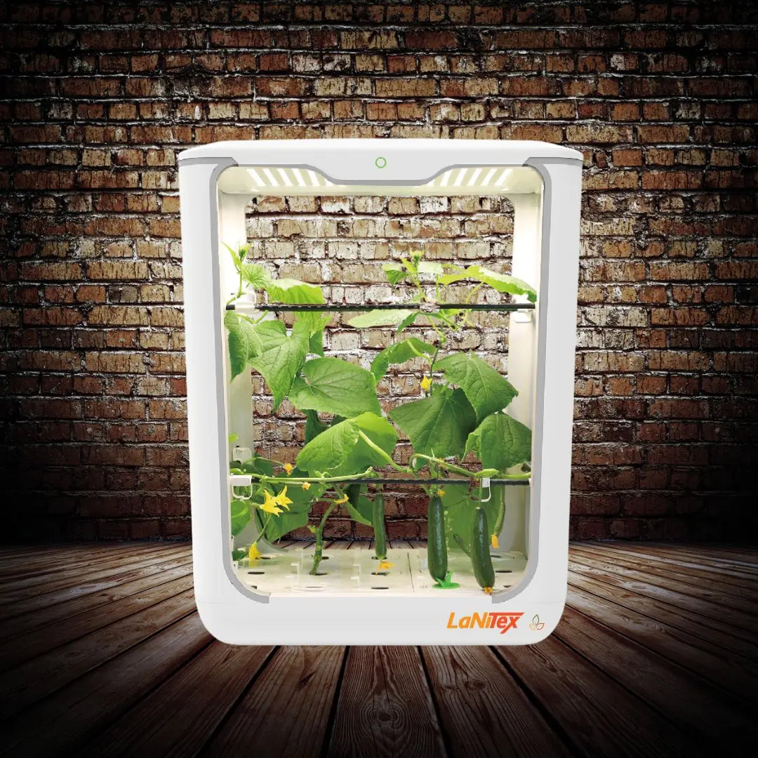Tall indoor hydroponic system with multiple tiers growing cucumber under LED lighting in a controlled environment.