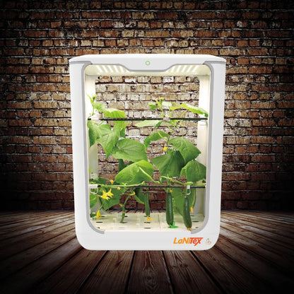 Tall indoor hydroponic system with multiple tiers growing cucumber under LED lighting in a controlled environment.