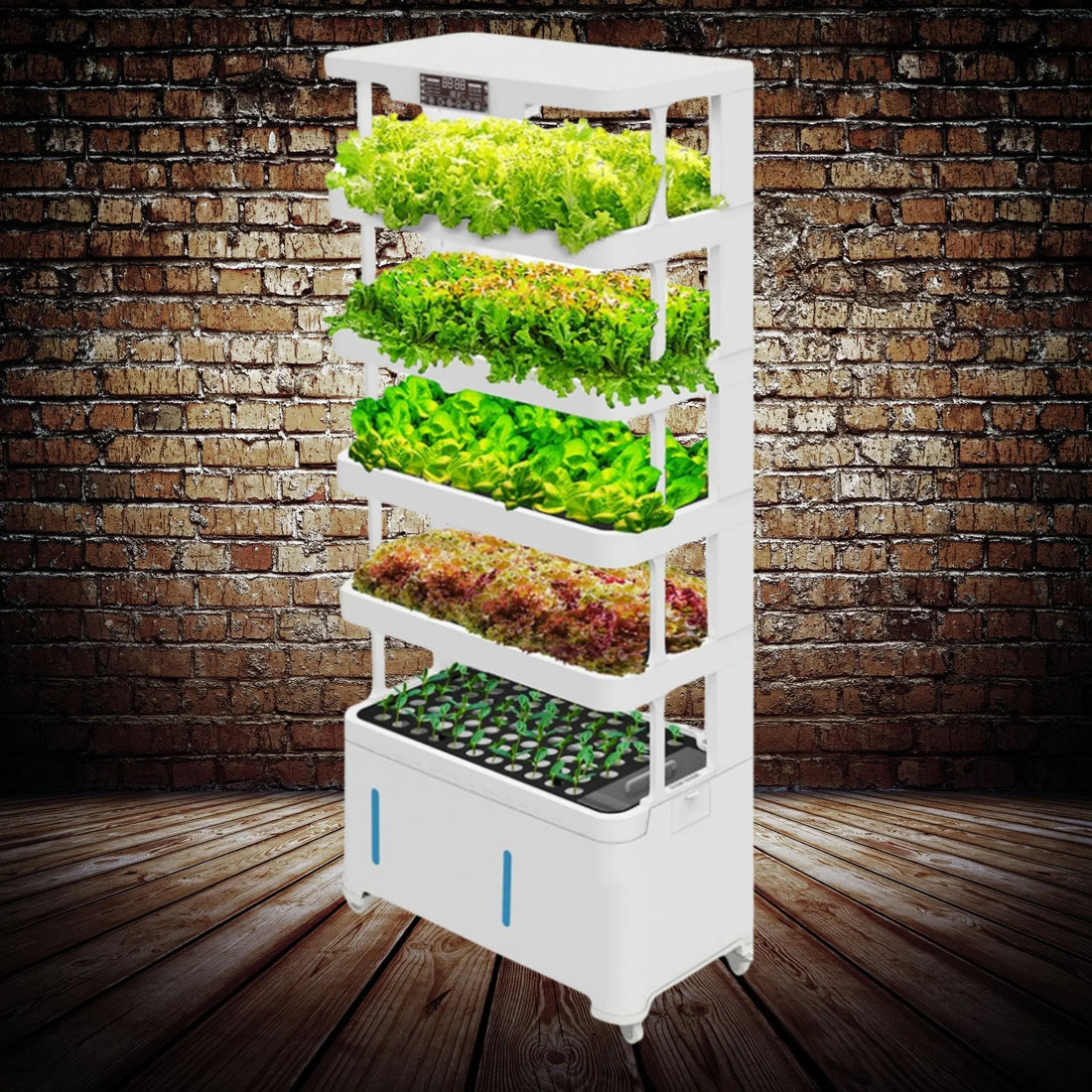 Indoor hydroponic garden system with 76 sowing, 72 planting positions, and compact design.