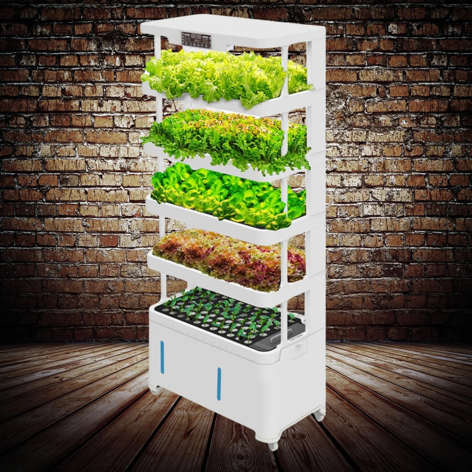 Indoor hydroponic garden system with 76 sowing, 72 planting positions, and compact design.