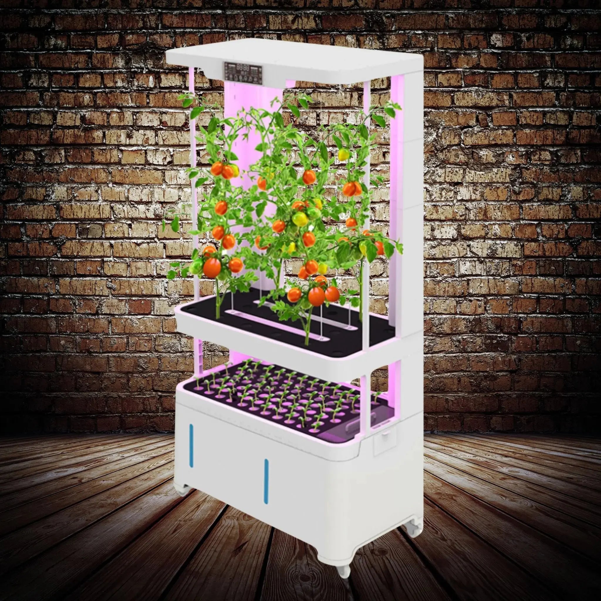LaNiTex automated NFT hydroponic system (V5.2-T) — self-watering 18-pod unit