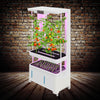 Stacked trays of greens thriving in the LaNiTex vertical hydroponic tower.