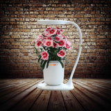Sleek hydroponic cup providing nutrient-rich water for healthy plant development.