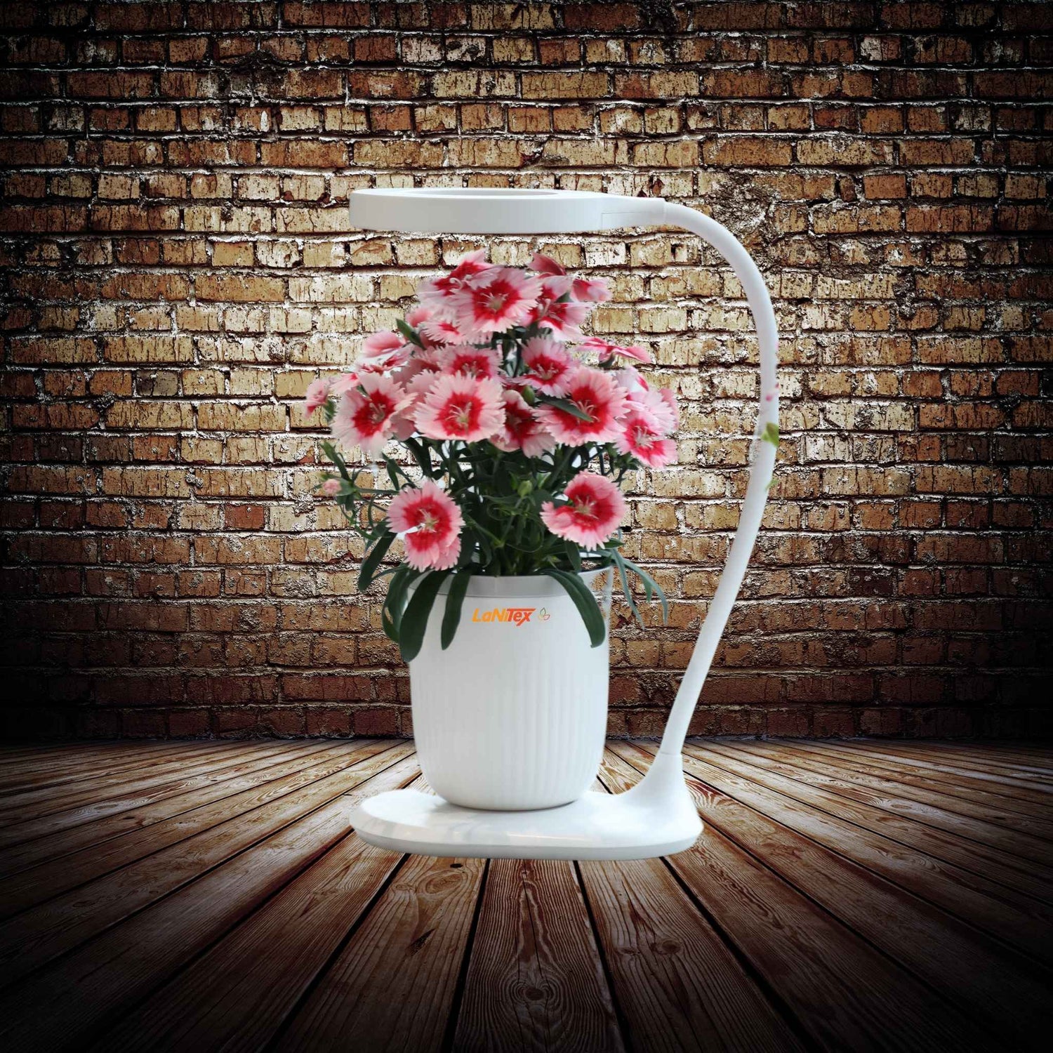 Sleek hydroponic cup providing nutrient-rich water for healthy plant development.