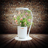 Mini Indoor Grow Pot indoor hydroponic planter with a gooseneck LED grow light, growing flowers soil-free indoors