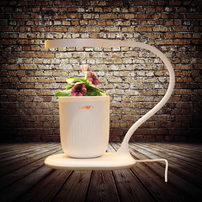 Compact hydroponic grow cup nurturing herbs and greens with water-based nutrients.