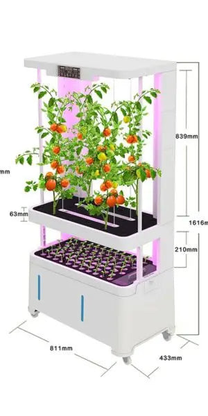 Indoor hydroponic garden system with tomato plants 