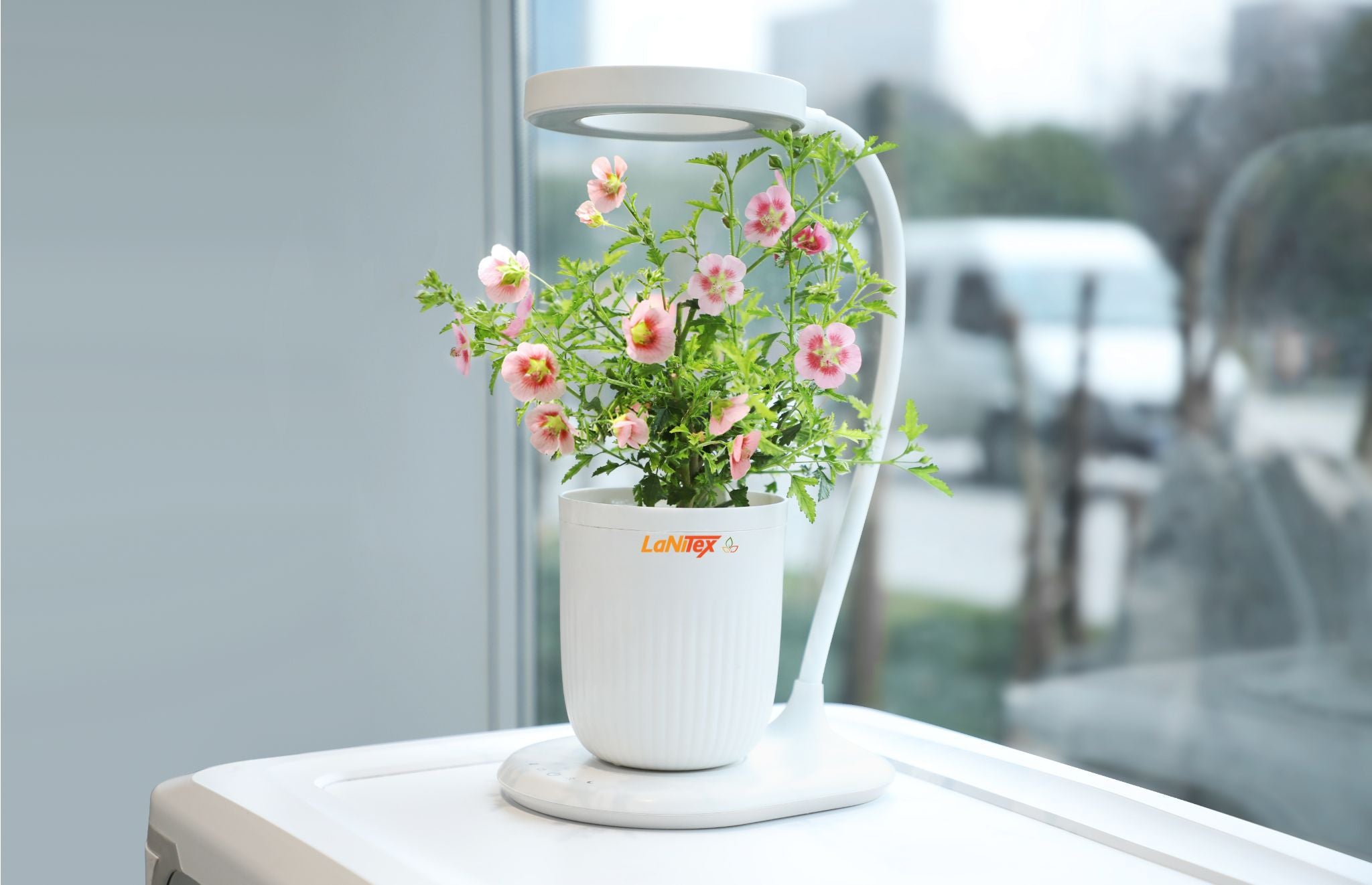 Mini hydroponic grow cup supporting young plants in a soil-free growing environment.