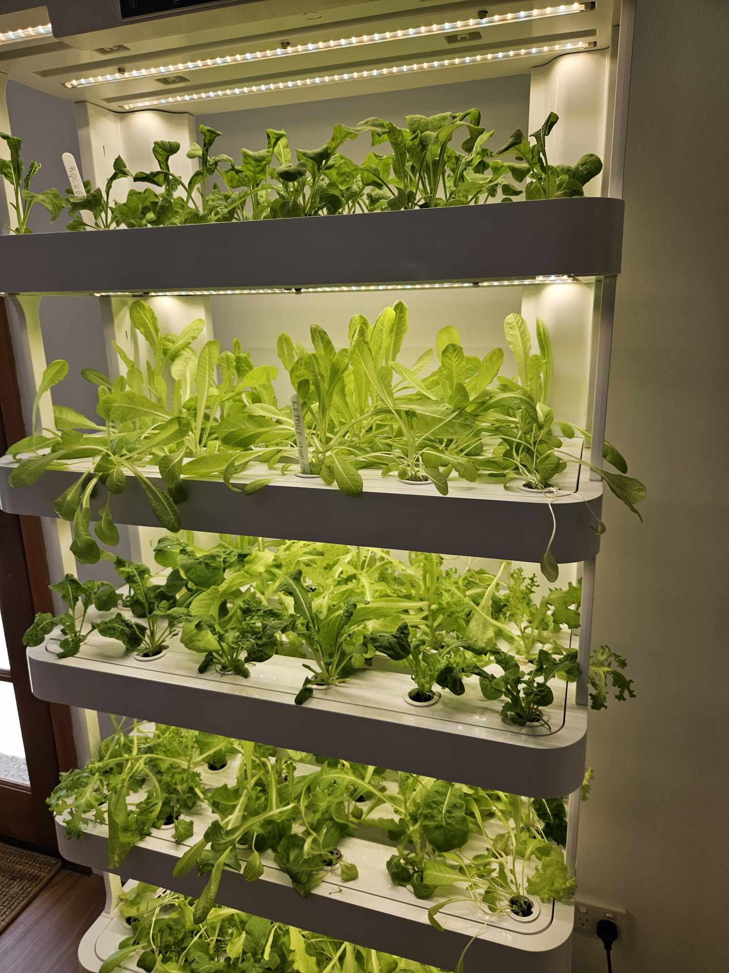 Vertical hydroponic gardening at home: neatly arranged leafy greens in a customer's LaNiTex tower.