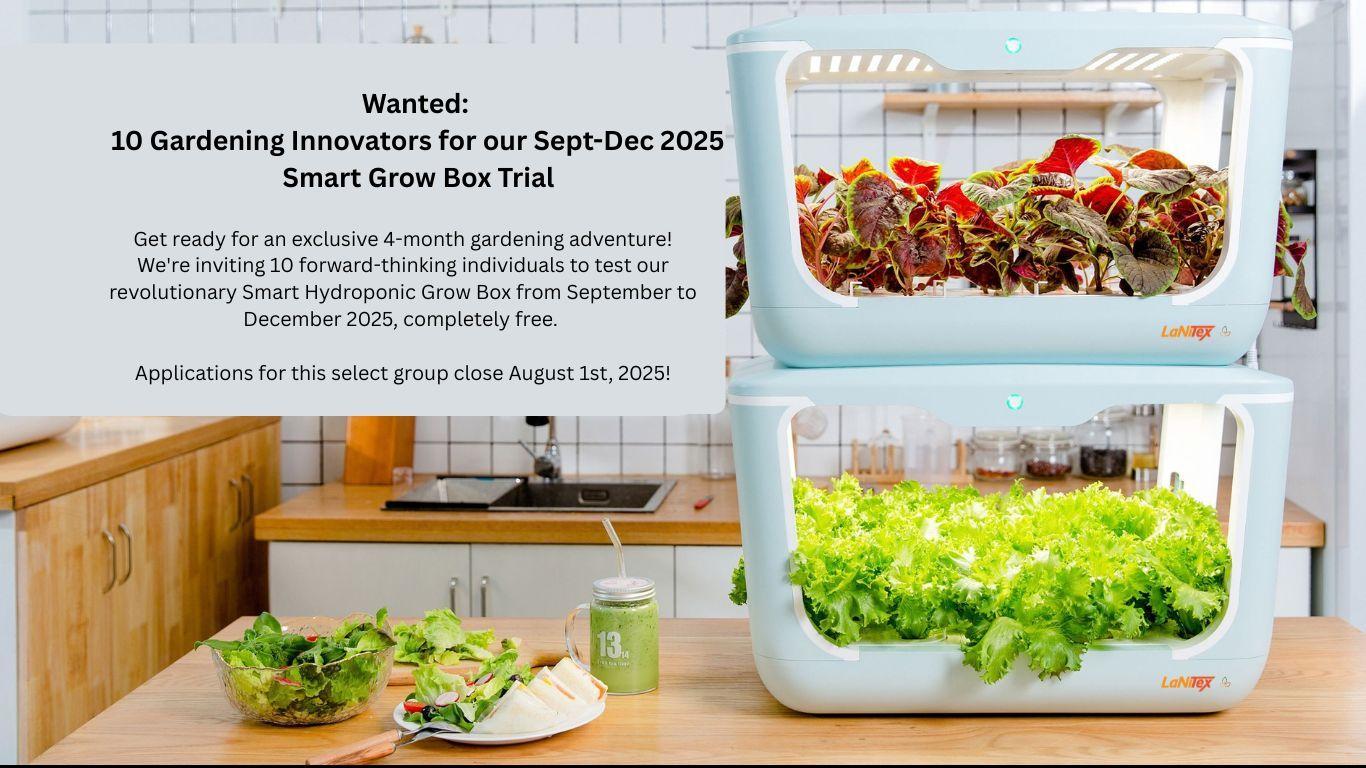 LaNiTex Grow Box in a kitchen with vegetables
