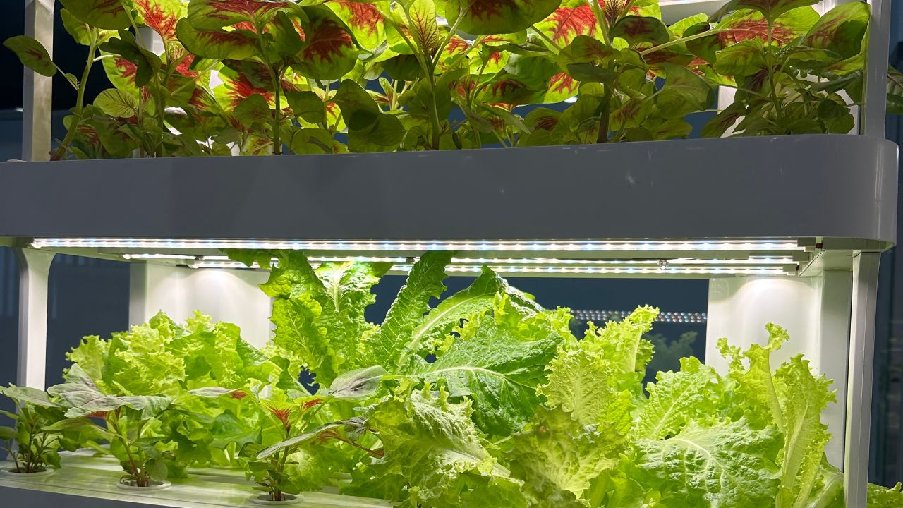 Multi-tier indoor hydroponic tower flourishing with leafy greens.