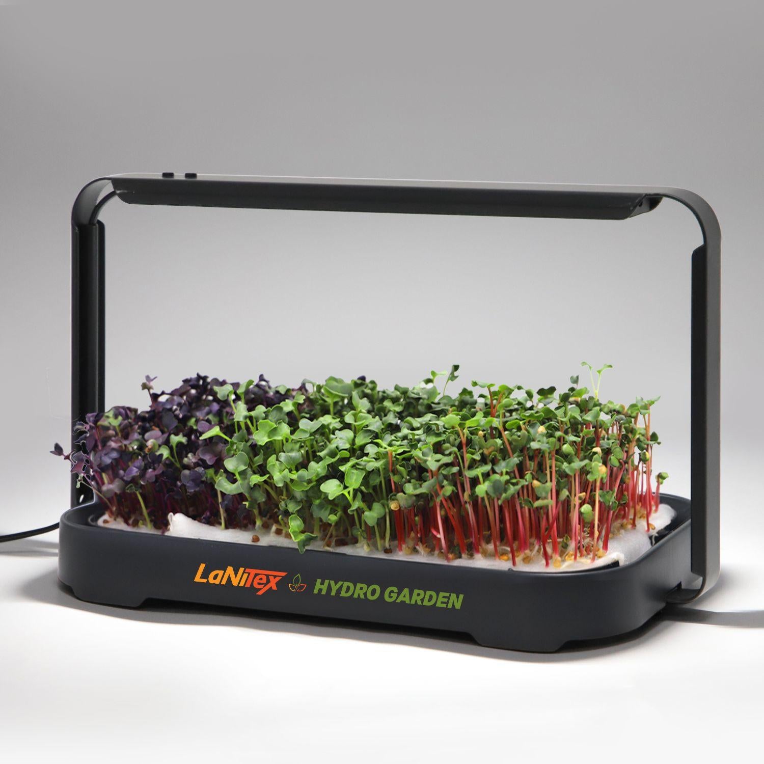 LaNiTex black metal microgreen kit with a tray of mixed microgreens