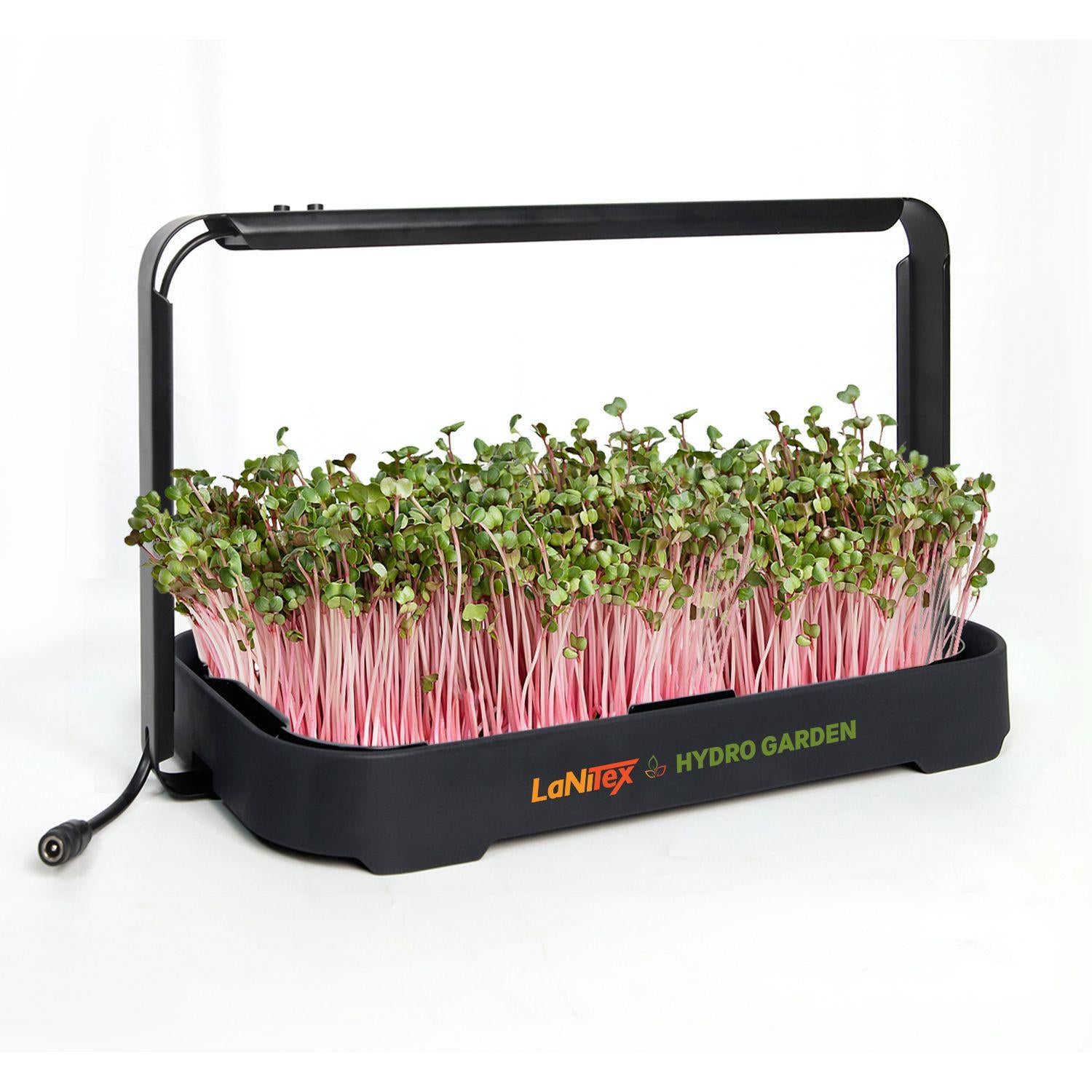 LaNiTex Smart Microgreen Kit growing pink-stemmed radish microgreens