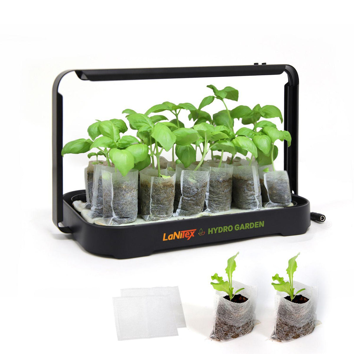 LaNiTex microgreen kit growing basil seedlings in biodegradable grow bags