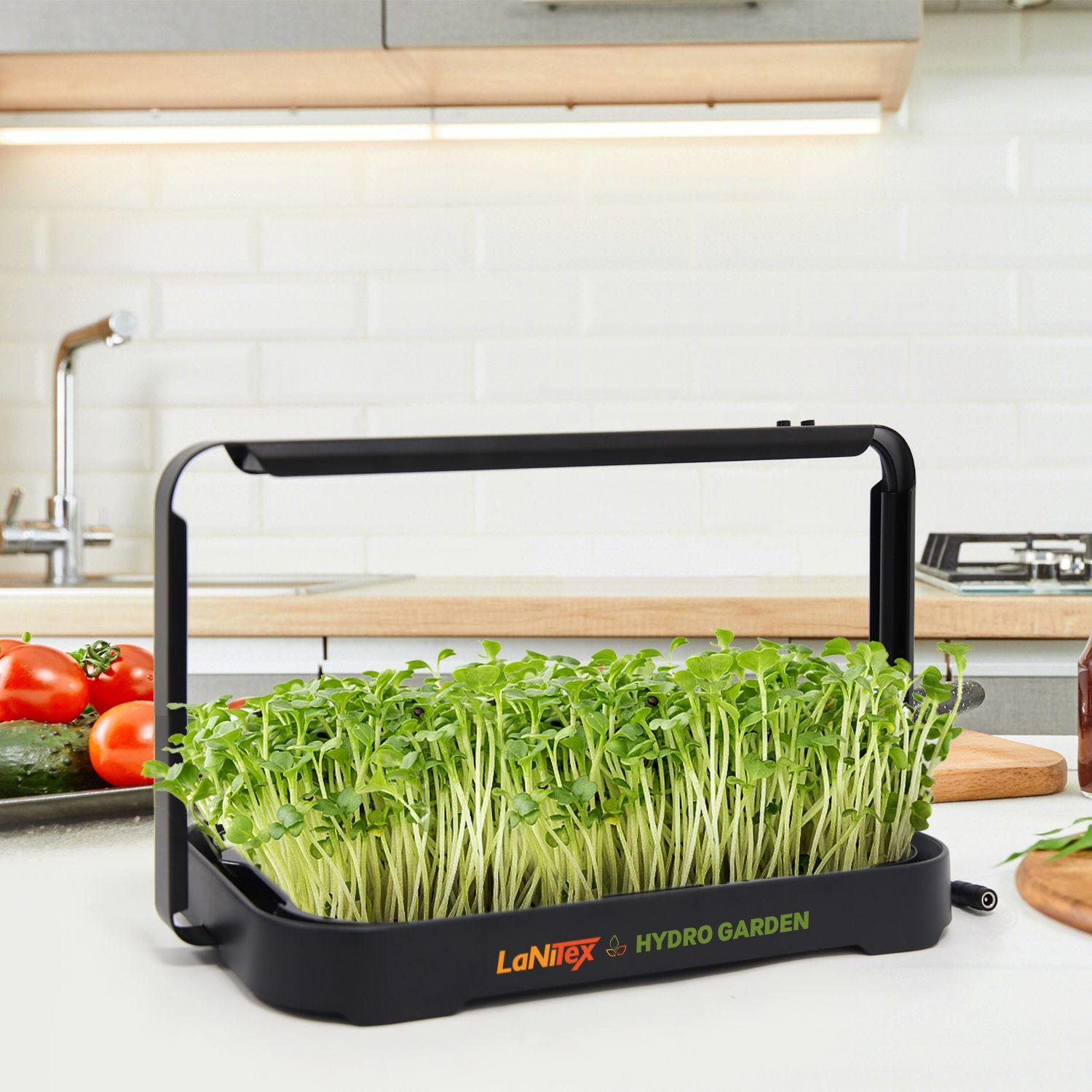 LaNiTex microgreen kit growing pea and sunflower microgreens on a kitchen bench