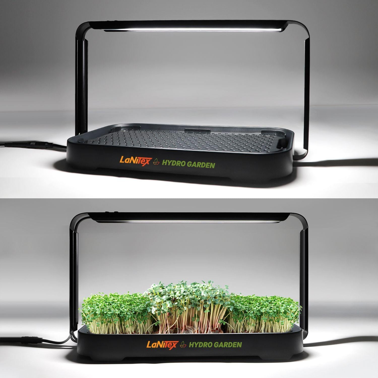 LaNiTex microgreen kit shown empty and growing green microgreens